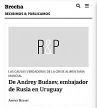 El artículo del Embajador sobre las causas de la crisis alimentaria en el mundo